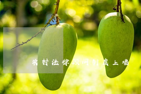 农村法律顾问制度上墙 农村法律顾问制度上墙