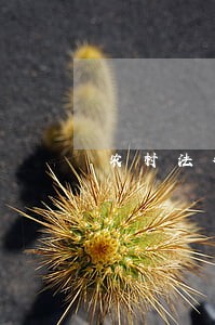 农村法律顾问哪家正规 农村法律顾问哪家正规
