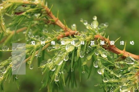 农村淘宝桂林荔浦司法拍卖 农村淘宝桂林荔浦司法拍卖