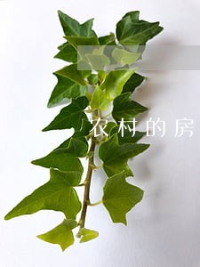 农村的房子离婚了怎么过户 农村的房子离婚了怎么过户