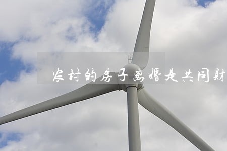 农村的房子离婚是共同财产吗
