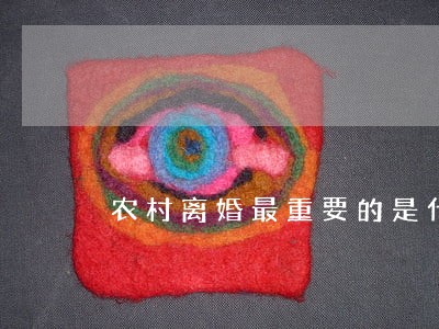 农村离婚最重要的是什么 农村离婚最重要的是什么