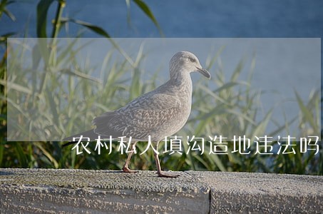 农村私人填沟造地违法吗
