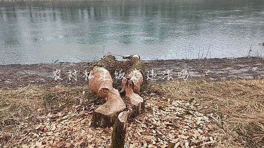 农村私建饭店违法吗 农村私建饭店违法吗