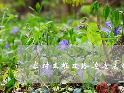 农村粪堆放路边违法吗 农村粪堆放路边违法吗