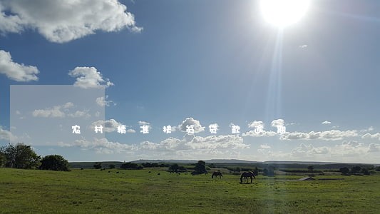 农村精准扶贫贷款逾期 农村精准扶贫贷款逾期