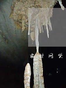 农村网贷逾期后果