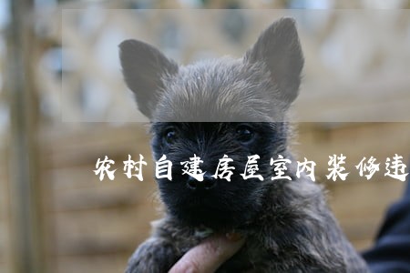 农村自建房屋室内装修违法 农村自建房屋室内装修违法