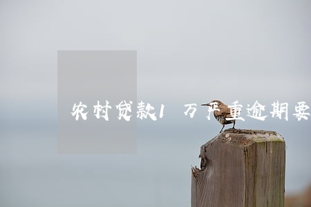 农村贷款1万严重逾期要坐牢吗 农村贷款1万严重逾期要坐牢吗