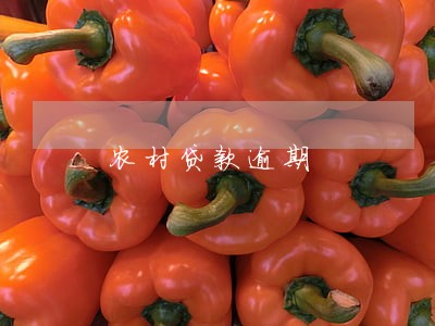 农村贷款逾期 农村贷款逾期
