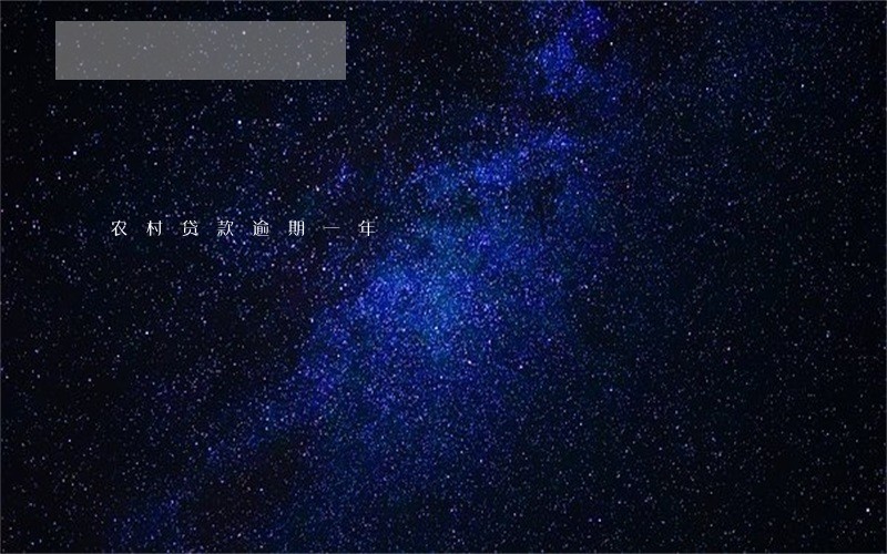 农村贷款逾期一年