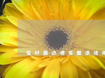 农村路边停车算违法停车吗 农村路边停车算违法停车吗