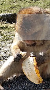 农村违法建筑治理 农村违法建筑治理