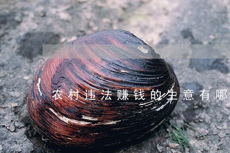 农村违法赚钱的生意有哪些 农村违法赚钱的生意有哪些
