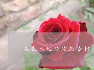 农民土地法院能查封