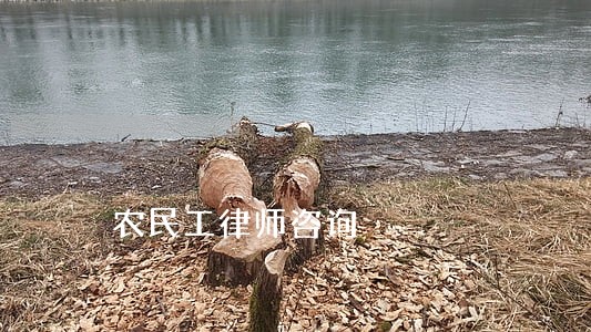 农民工律师咨询 农民工律师咨询