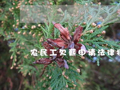 农民工欠薪申请法律援助 农民工欠薪申请法律援助