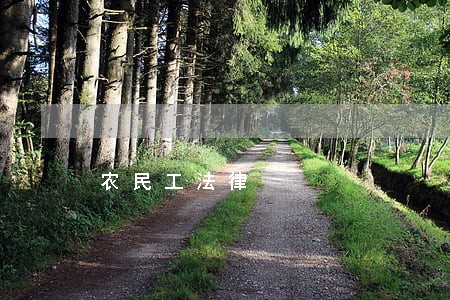 农民工法律 农民工法律