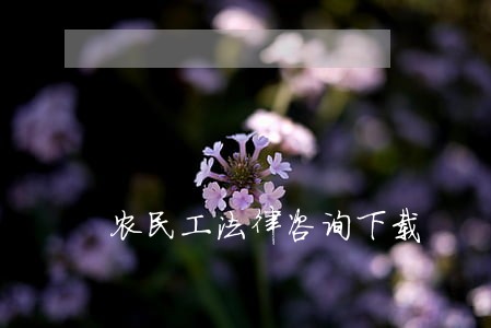 农民工法律咨询下载 农民工法律咨询下载