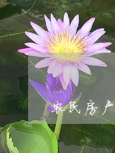 农民房产法院可以执行吗 农民房产法院可以执行吗