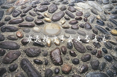 农民挖沙子卖是否违法 农民挖沙子卖是否违法