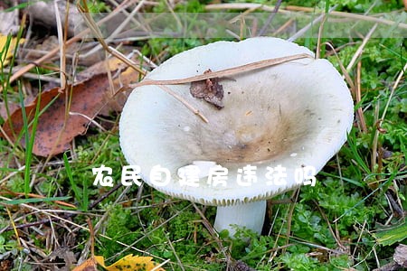 农民自建房违法吗 农民自建房违法吗