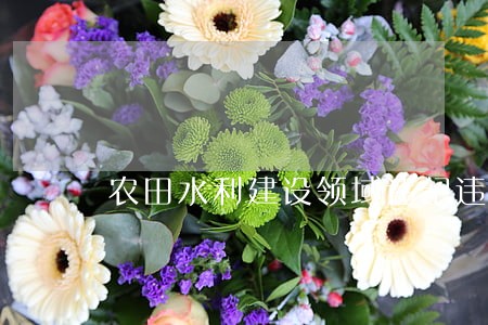 农田水利建设领域违纪违法案件 农田水利建设领域违纪违法案件