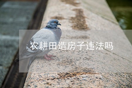 农耕田造房子违法吗 农耕田造房子违法吗
