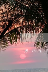 农行4万多逾期快6个月了 农行4万多逾期快6个月了