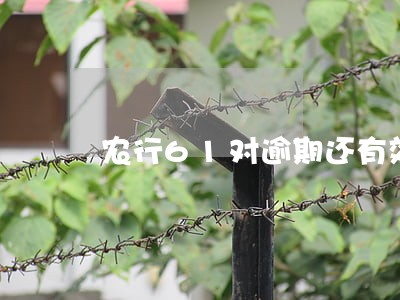 农行61对逾期还有效吗 农行61对逾期还有效吗