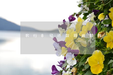 农行8号还款算逾期吗 农行8号还款算逾期吗