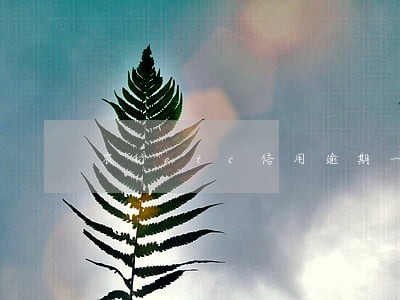 农行etc信用逾期一天 农行etc信用逾期一天