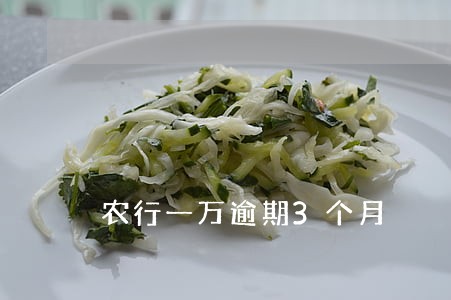 农行一万逾期3个月 农行一万逾期3个月