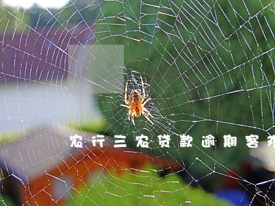 农行三农贷款逾期客观原因 农行三农贷款逾期客观原因