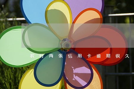 农行两张信用卡逾期很久了