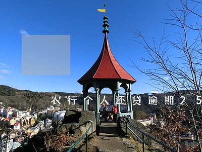 农行个人还贷逾期25天 农行个人还贷逾期25天