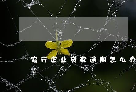 农行企业贷款逾期怎么办 农行企业贷款逾期怎么办