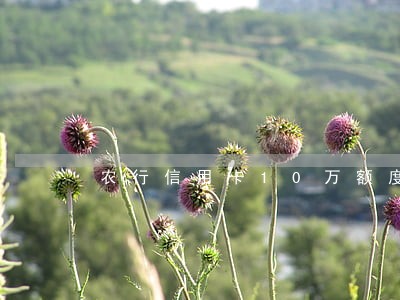 农行信用卡10万额度逾期后 农行信用卡10万额度逾期后
