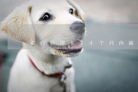 农行信用卡24个月内逾期5次