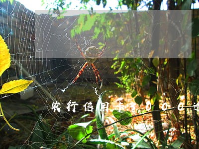 农行信用卡3000逾期几年了 农行信用卡3000逾期几年了