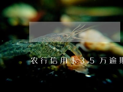 农行信用卡35万逾期四个月 农行信用卡35万逾期四个月