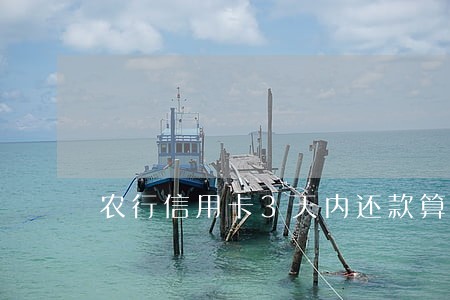 农行信用卡3天内还款算逾期吗