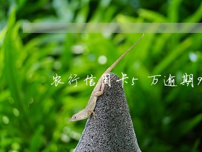 农行信用卡5万逾期90天 农行信用卡5万逾期90天