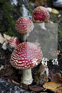 农行信用卡8000逾期两年 农行信用卡8000逾期两年