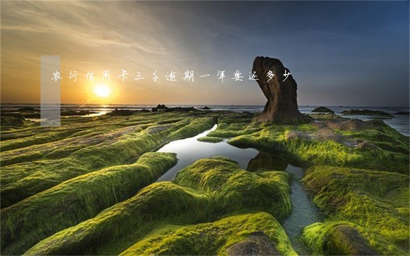 农行信用卡三千逾期一年要还多少 农行信用卡三千逾期一年要还多少