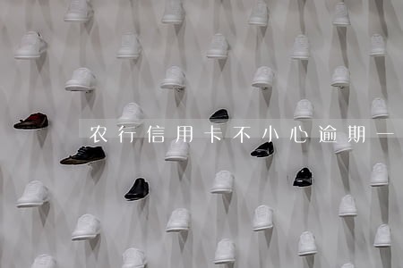 农行信用卡不小心逾期一天 农行信用卡不小心逾期一天