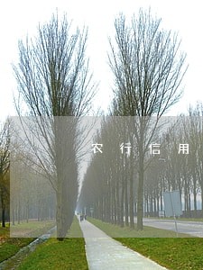 农行信用卡两万六逾期两年 农行信用卡两万六逾期两年