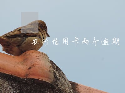 农行信用卡两个逾期 农行信用卡两个逾期