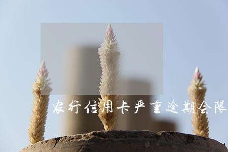 农行信用卡严重逾期会限制出行吗 农行信用卡严重逾期会限制出行吗
