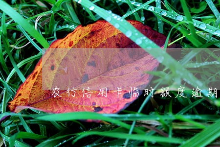 农行信用卡临时额度逾期三天 农行信用卡临时额度逾期三天